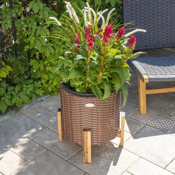 Brown Wicker Planter with Stand